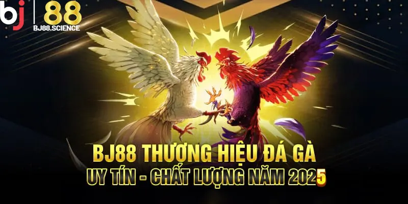 BJ88 tự hào là nhà cái uy tín được hàng triệu người chơi tin tưởng