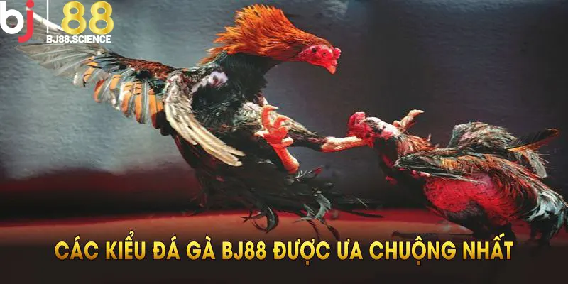 Các kiểu đá gà được ưa chuộng tại sảnh WS168