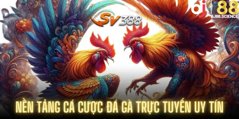 Sảnh SV388 - Nền tảng cá cược đá gà trực tuyến uy tín