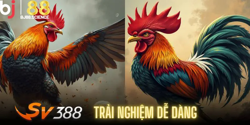 Trải nghiệm sảnh đá gà SV388 một cách dễ dàng
